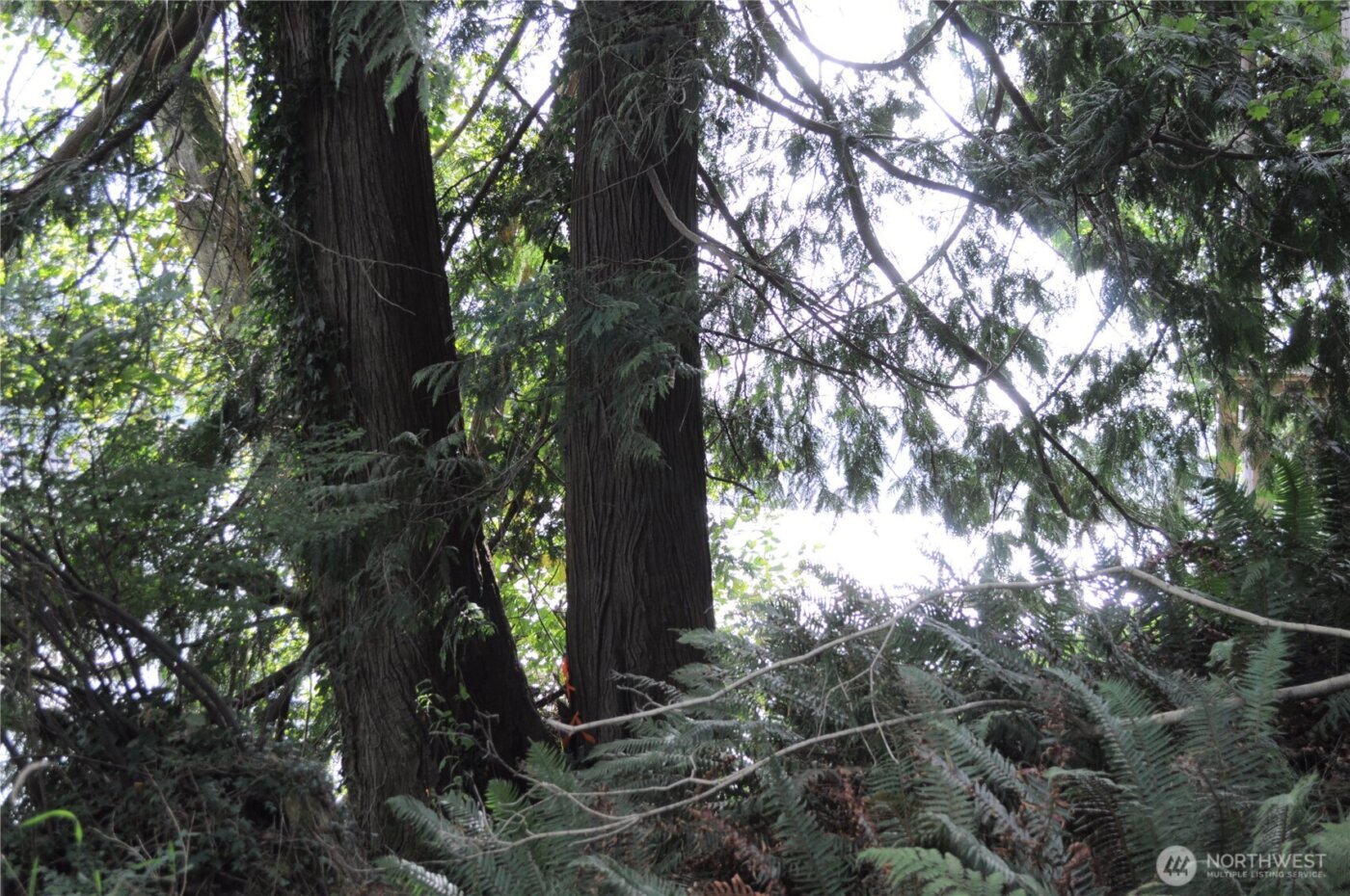 18895 W Big Lake Boulevard , Mount Vernon, WA 98274