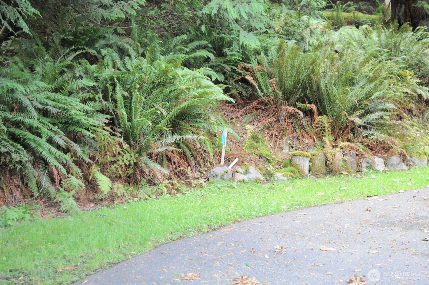 18895 W Big Lake Boulevard , Mount Vernon, WA 98274