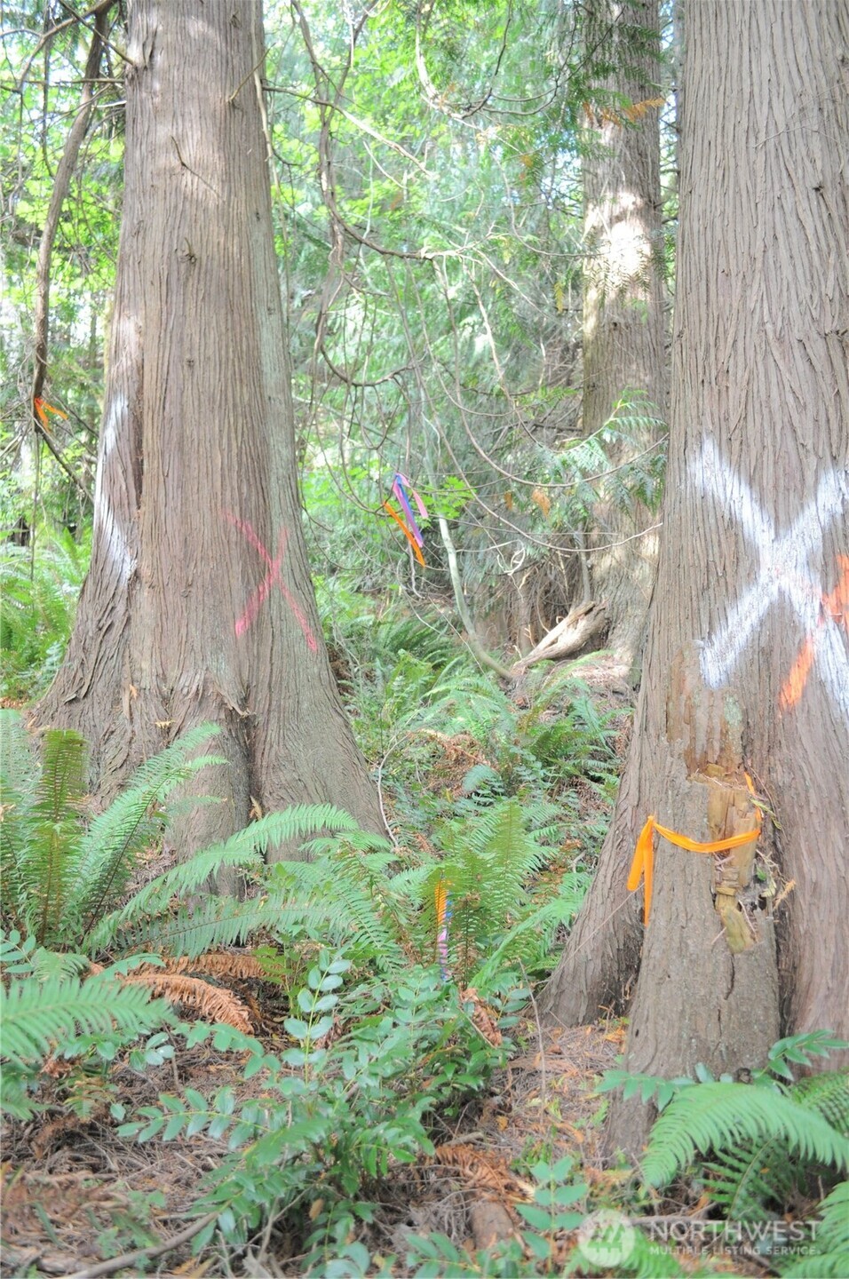 18895 W Big Lake Boulevard , Mount Vernon, WA 98274