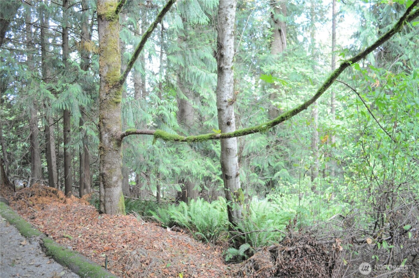 18895 W Big Lake Boulevard , Mount Vernon, WA 98274