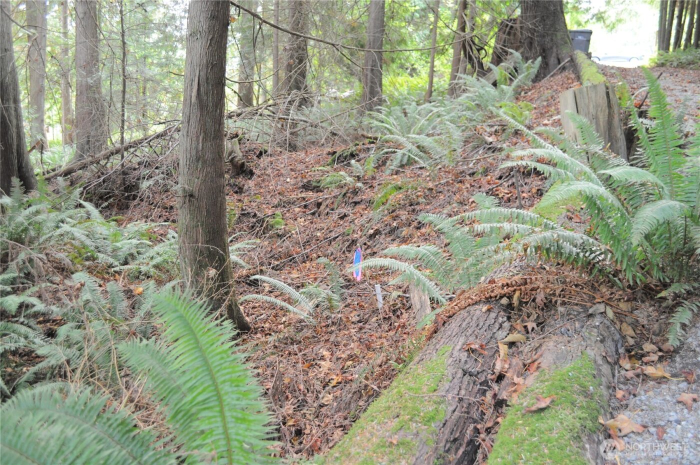 18895 W Big Lake Boulevard , Mount Vernon, WA 98274