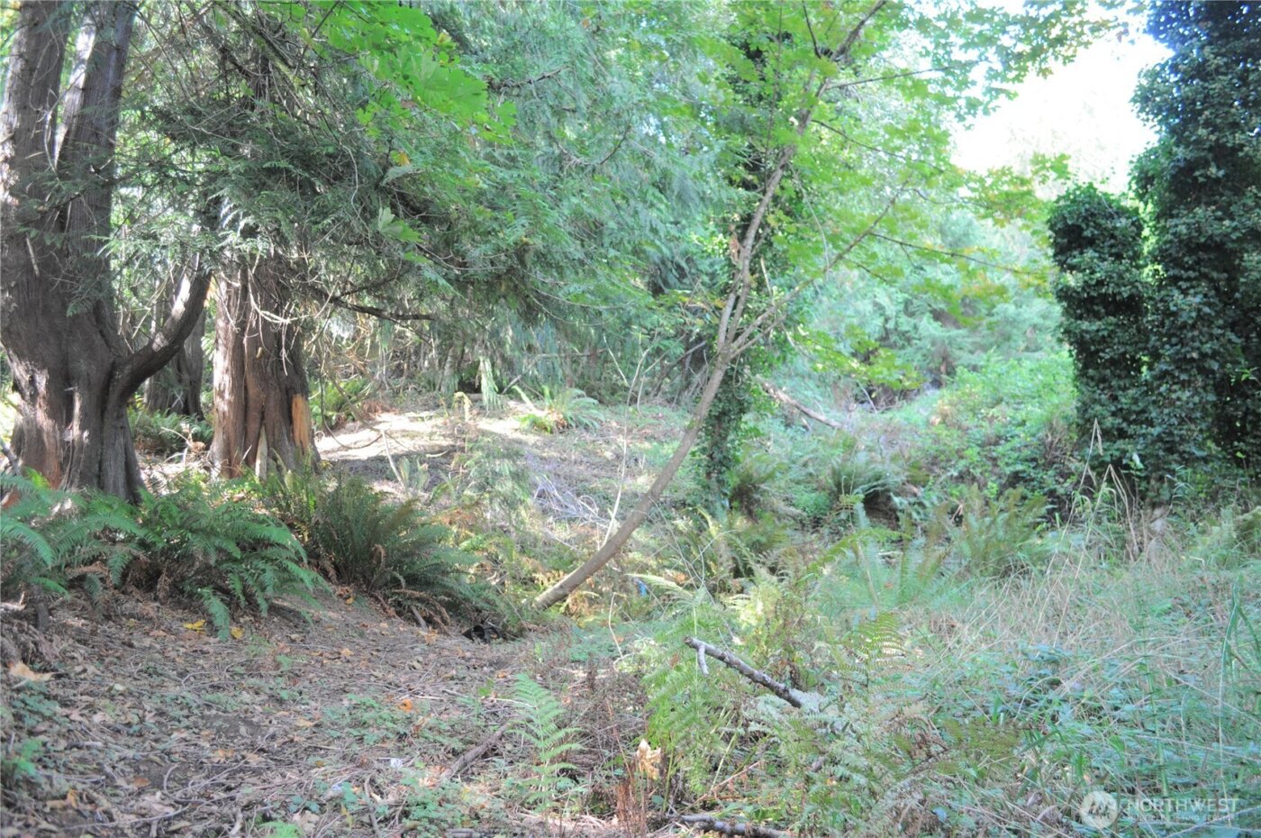 18895 W Big Lake Boulevard , Mount Vernon, WA 98274