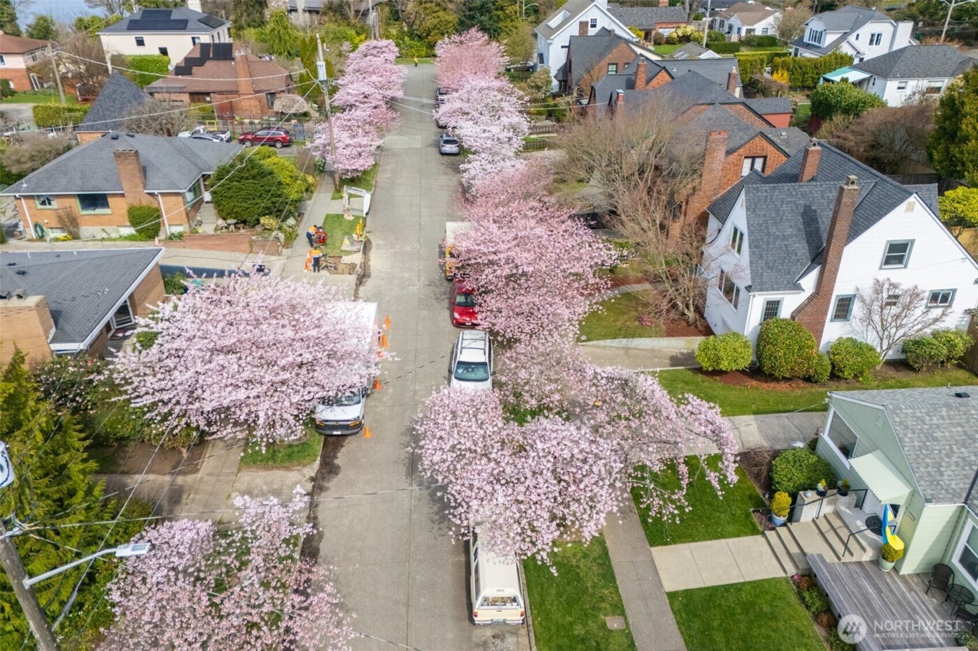 7736 33rd Ave NW , Seattle, WA 98117