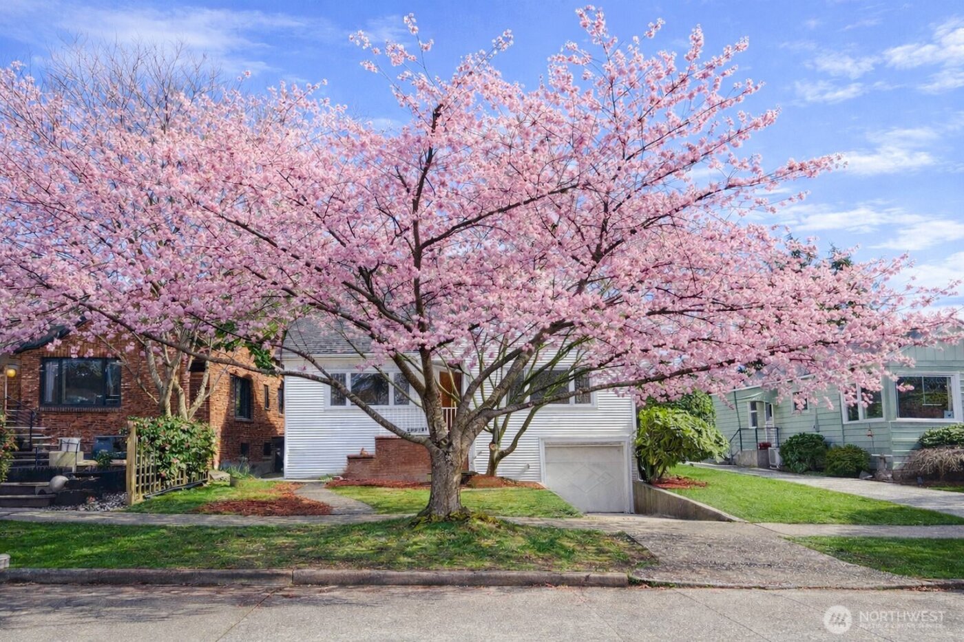 7736 33rd Ave NW , Seattle, WA 98117