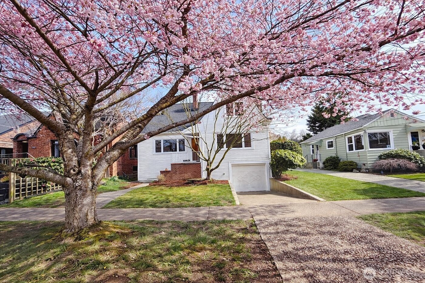 7736 33rd Ave NW , Seattle, WA 98117