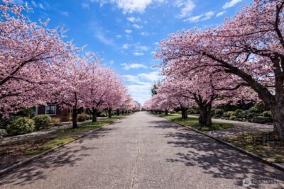 7736 33rd Ave NW , Seattle, WA 98117 - Photo 6