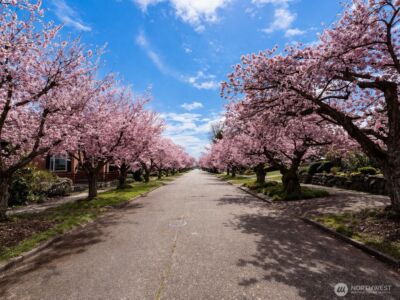 7736 33rd Ave NW , Seattle, WA 98117 - Photo 7