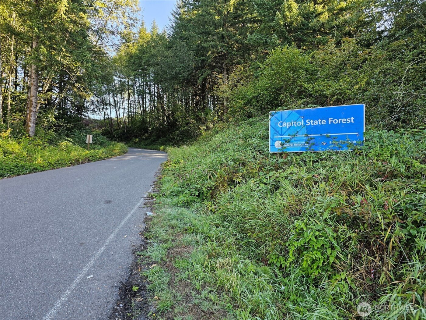 208 S 2nd Street , Oakville, WA 98568