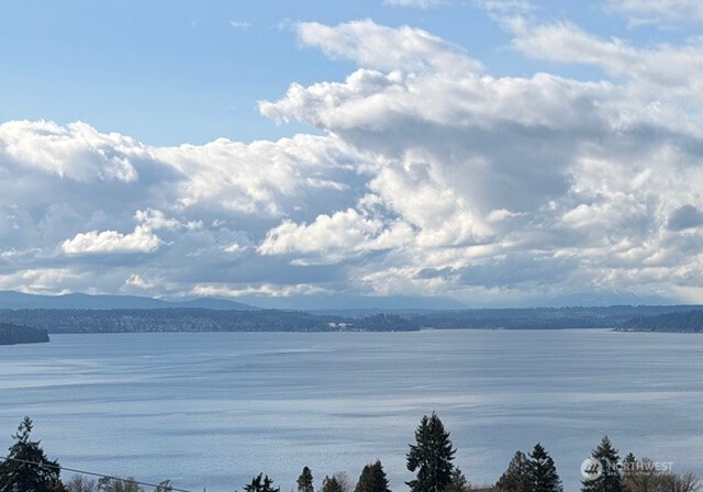 7341 California Avenue SW, Seattle, WA 98136