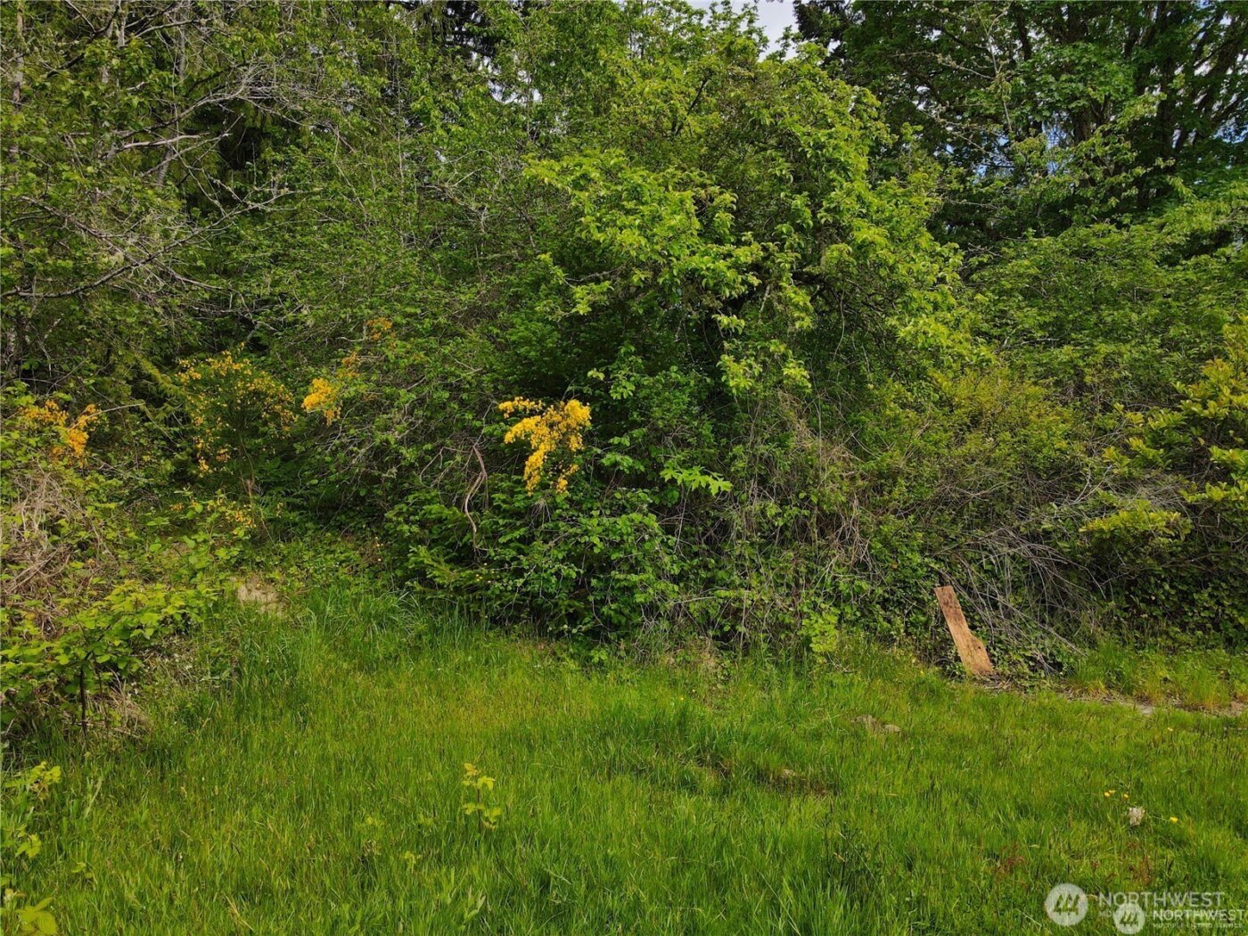 0 E Sullivan Street , Allyn, WA 98524