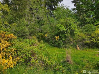 0 E Sullivan Street , Allyn, WA 98524 - Photo 5