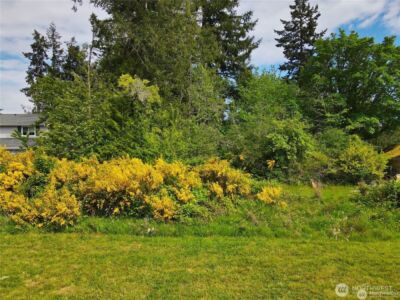 0 E Sullivan Street , Allyn, WA 98524 - Photo 6
