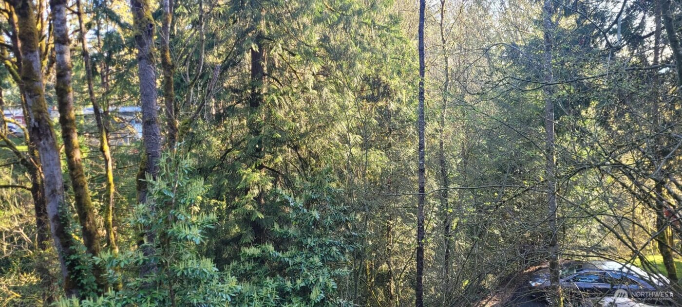 1317 Wildwood Boulevard SW, Issaquah, WA 98027