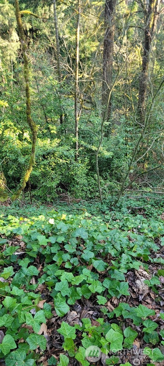 1317 Wildwood Boulevard SW, Issaquah, WA 98027