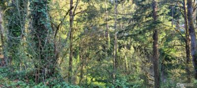 1317 Wildwood Boulevard SW, Issaquah, WA 98027 - Photo 5