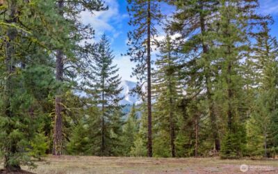 17 Wanawish Loop , Cle Elum, WA 98922