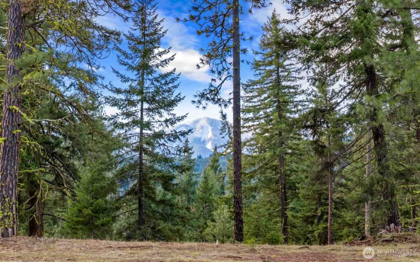 17 Wanawish Loop , Cle Elum, WA 98922