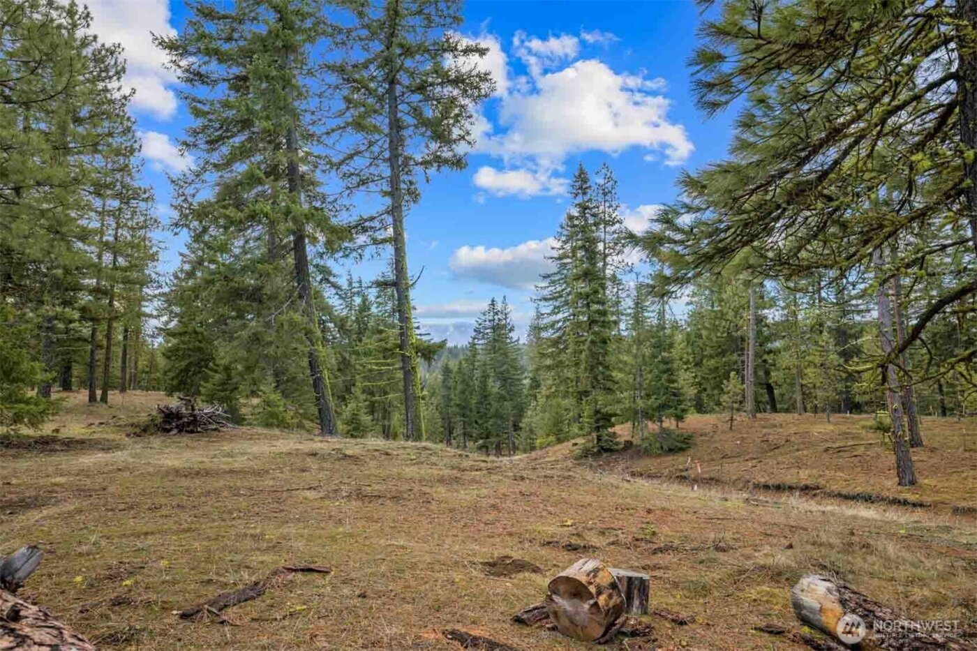 17 Wanawish Loop , Cle Elum, WA 98922