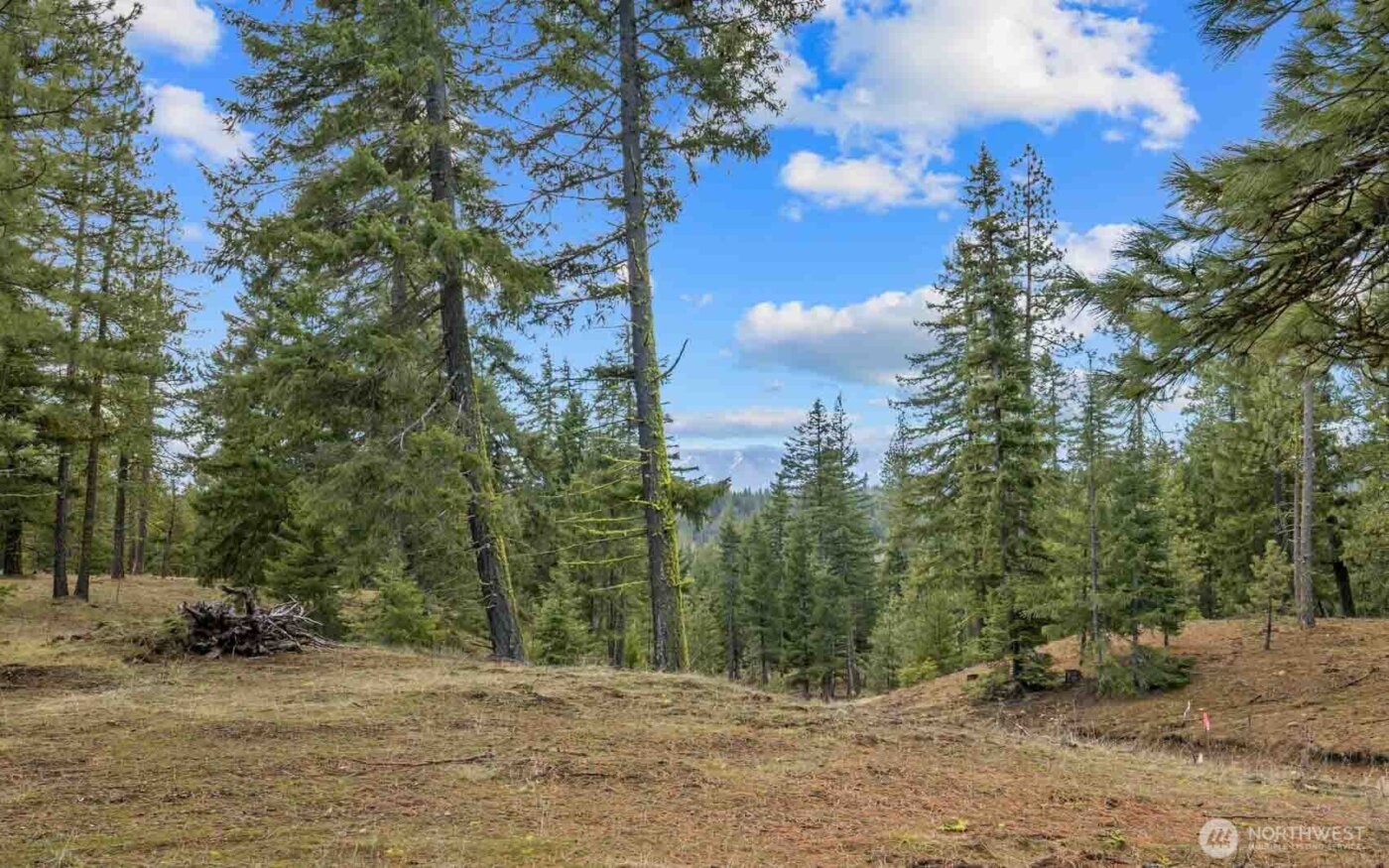 17 Wanawish Loop , Cle Elum, WA 98922