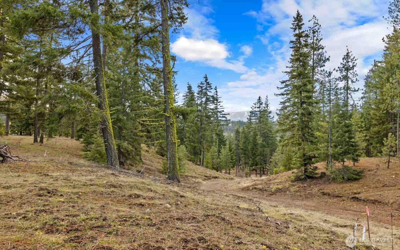 17 Wanawish Loop , Cle Elum, WA 98922