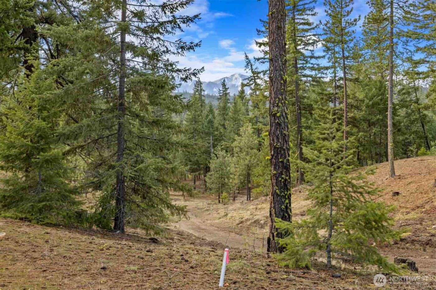 17 Wanawish Loop , Cle Elum, WA 98922