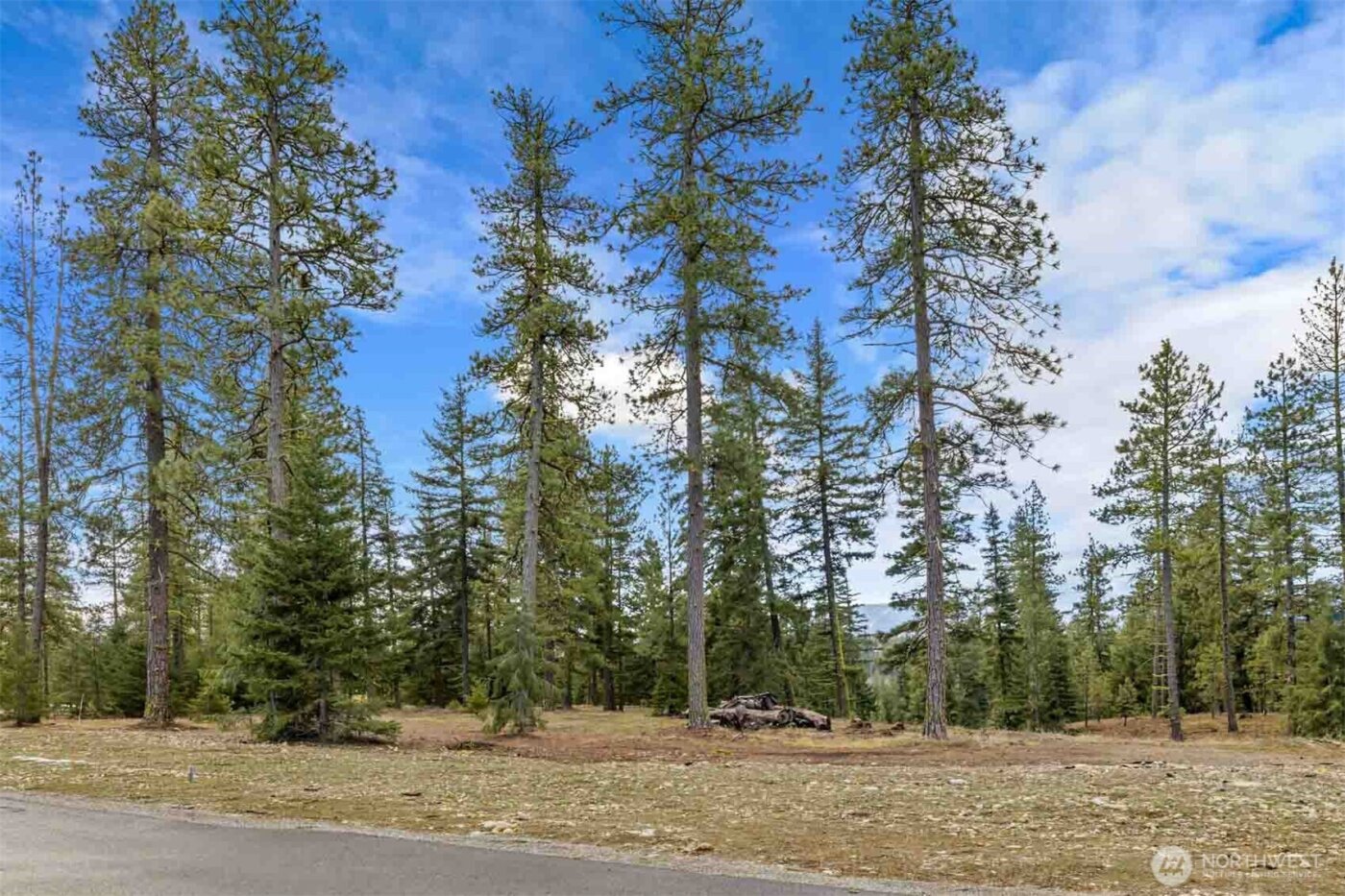 17 Wanawish Loop , Cle Elum, WA 98922