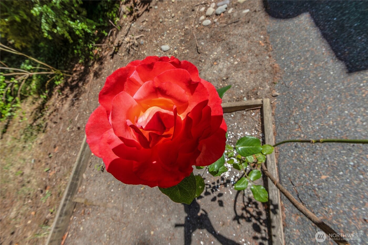 2925 87th Ave Ct E , Edgewood, WA 98371