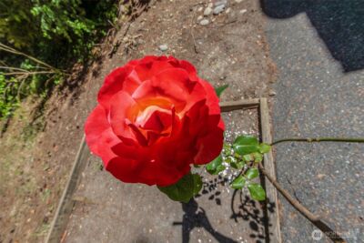 2925 87th Ave Ct E , Edgewood, WA 98371 - Photo 25