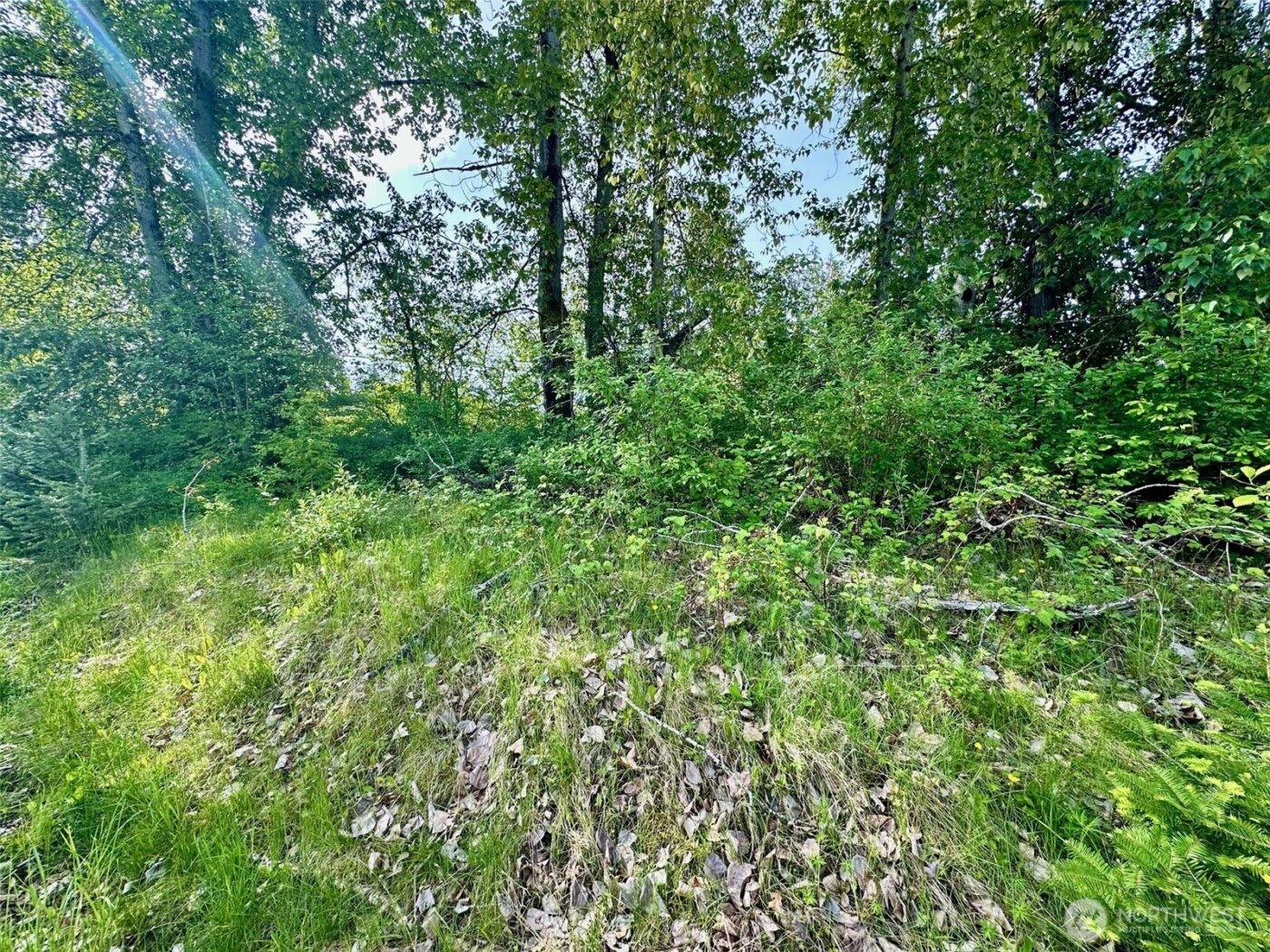 3010 E Sunset Drive , Bellingham, WA 98226