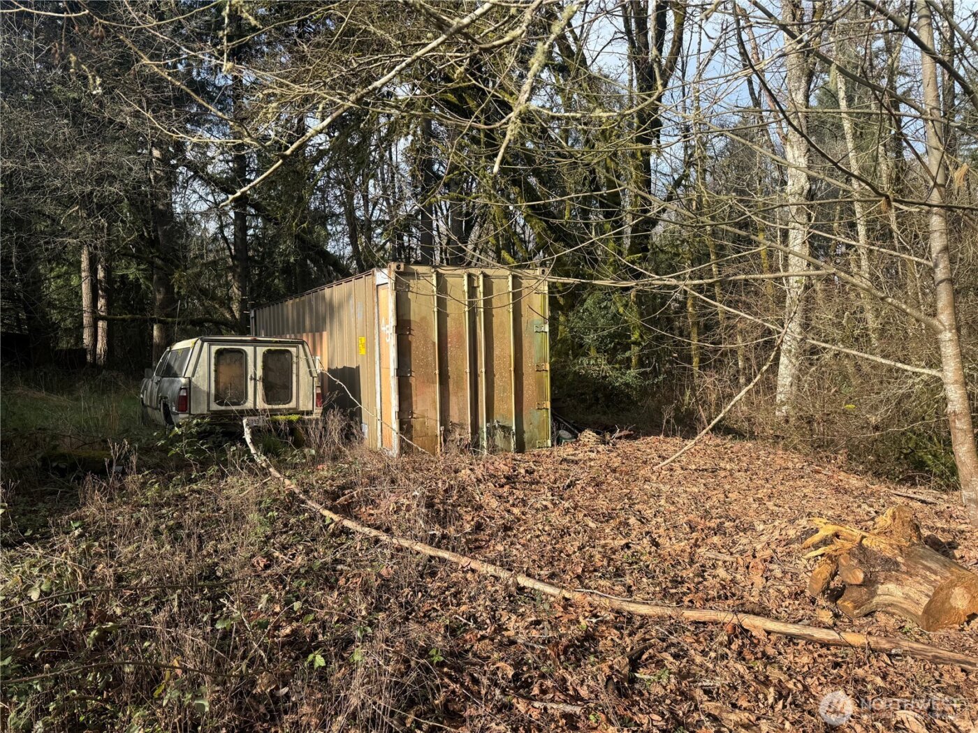 106 Olequa Place , Vader, WA 98593