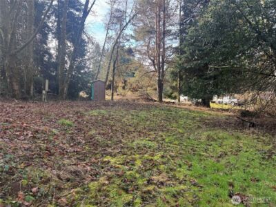 106 Olequa Place , Vader, WA 98593 - Photo 2