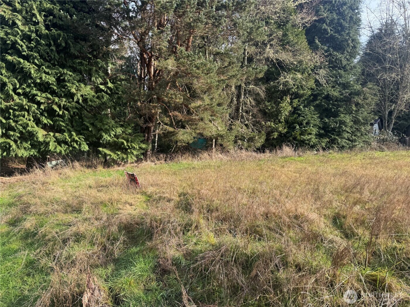 106 Olequa Place , Vader, WA 98593