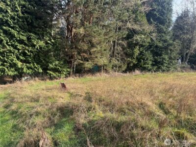 106 Olequa Place , Vader, WA 98593 - Photo 4