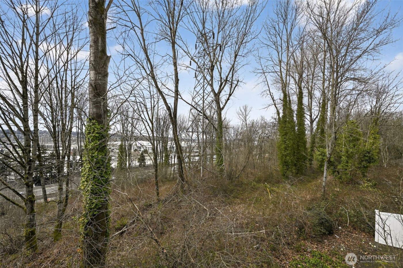 901 Sunset Boulevard NE #D215, Renton, WA 98056