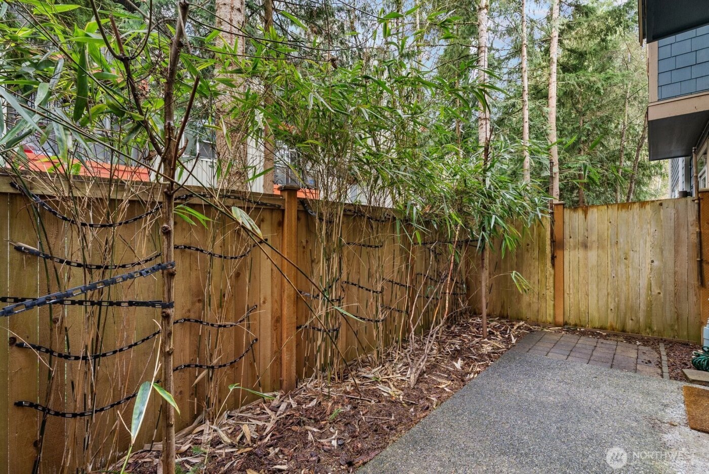 23000 NE 8th Street #C3, Sammamish, WA 98074