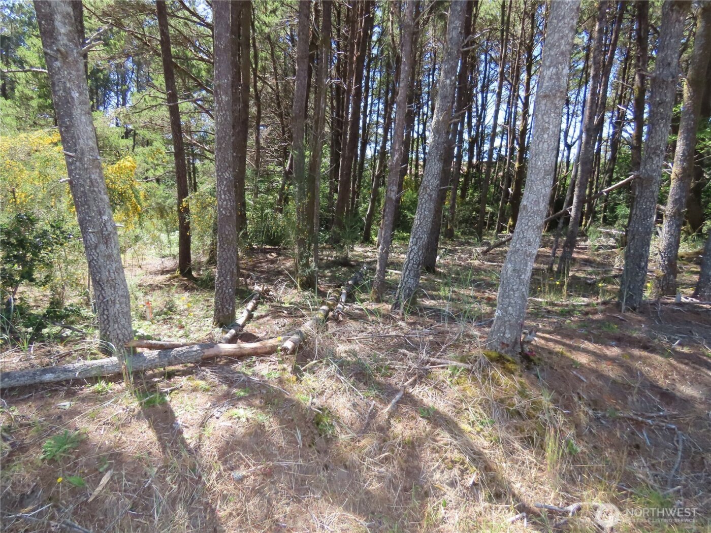0 Surf Street , Westport, WA 98595
