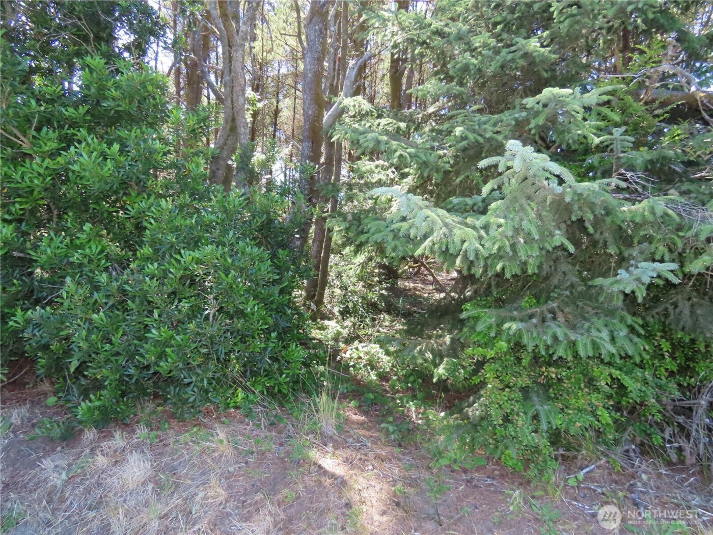 0 Surf Street , Westport, WA 98595