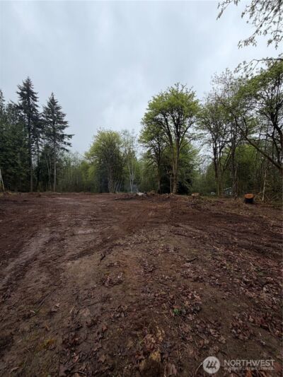 210 Vermillion Road , Chehalis, WA 98532 - Photo 20