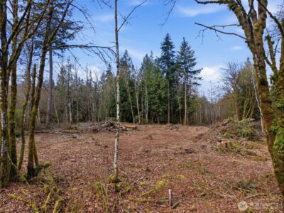 210 Vermillion Road , Chehalis, WA 98532 - Photo 4