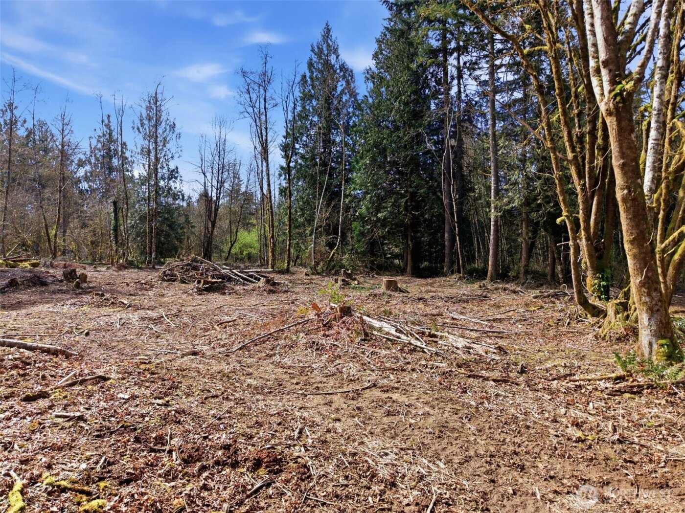 210 Vermillion Road , Chehalis, WA 98532