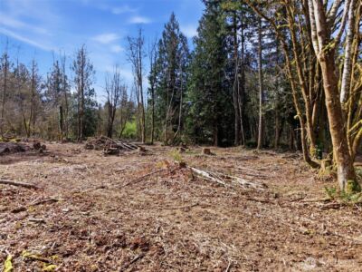 210 Vermillion Road , Chehalis, WA 98532 - Photo 6