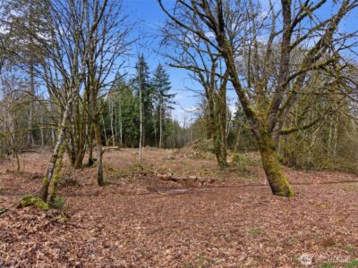 210 Vermillion Road , Chehalis, WA 98532 - Photo 8