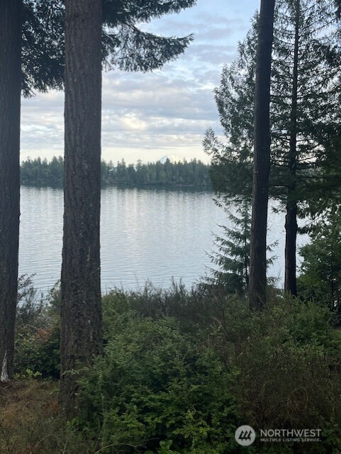 909 Lorenz Road NW, Lakebay, WA 98349