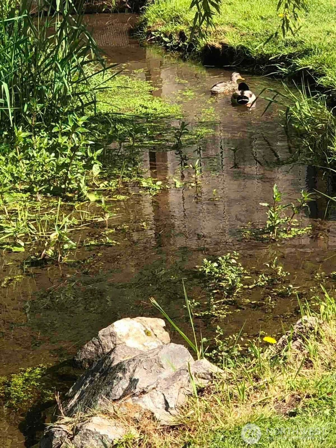 13217 145th Avenue Ct E, Orting, WA 98360