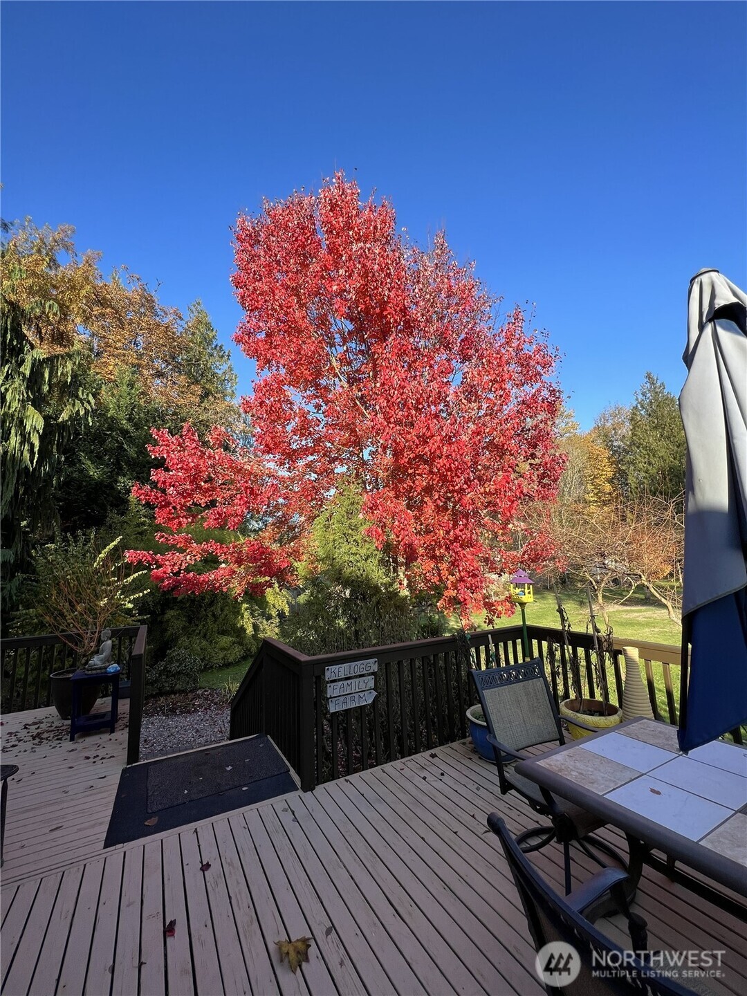 13217 145th Avenue Ct E, Orting, WA 98360