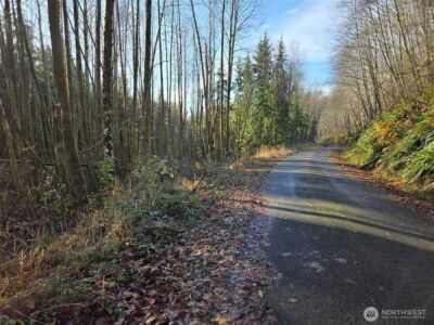 0 NKA Fall River Road , Cosmopolis, WA 98537 - Photo 11