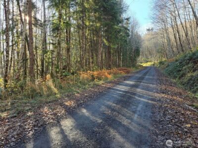 0 NKA Fall River Road , Cosmopolis, WA 98537 - Photo 2