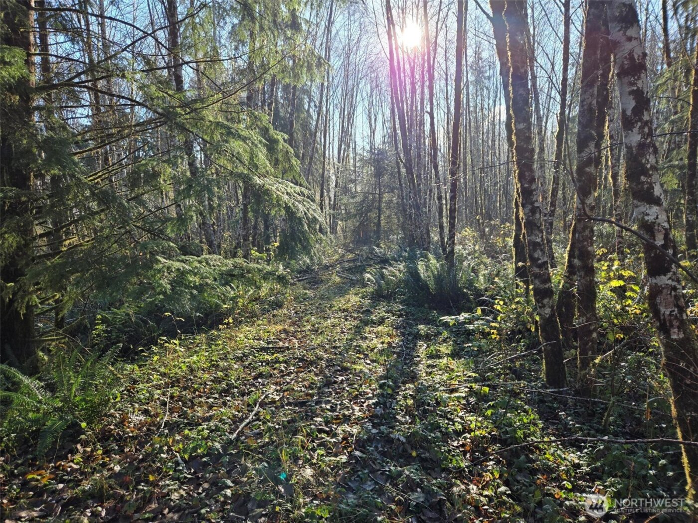 0 NKA Fall River Road , Cosmopolis, WA 98537