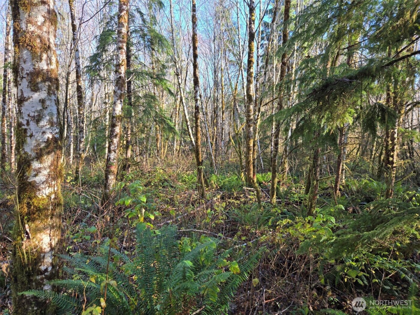 0 NKA Fall River Road , Cosmopolis, WA 98537