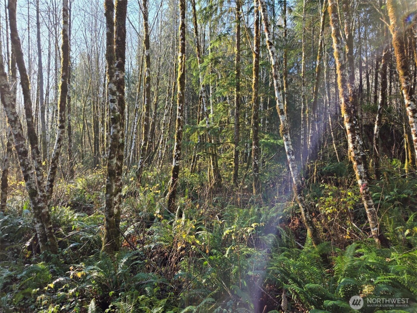 0 NKA Fall River Road , Cosmopolis, WA 98537